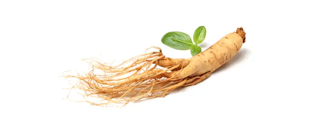 ترکیب اصلی دکترمال
