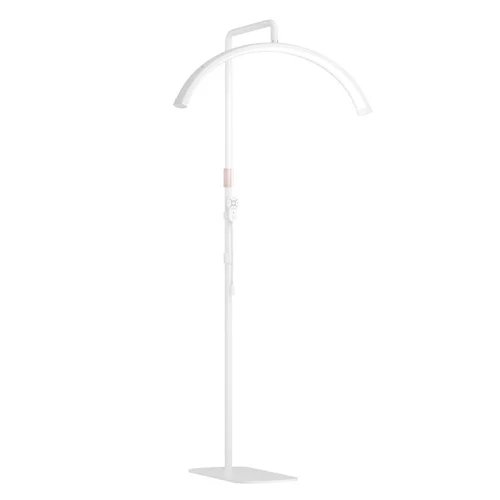 ال ای دی مونلایت