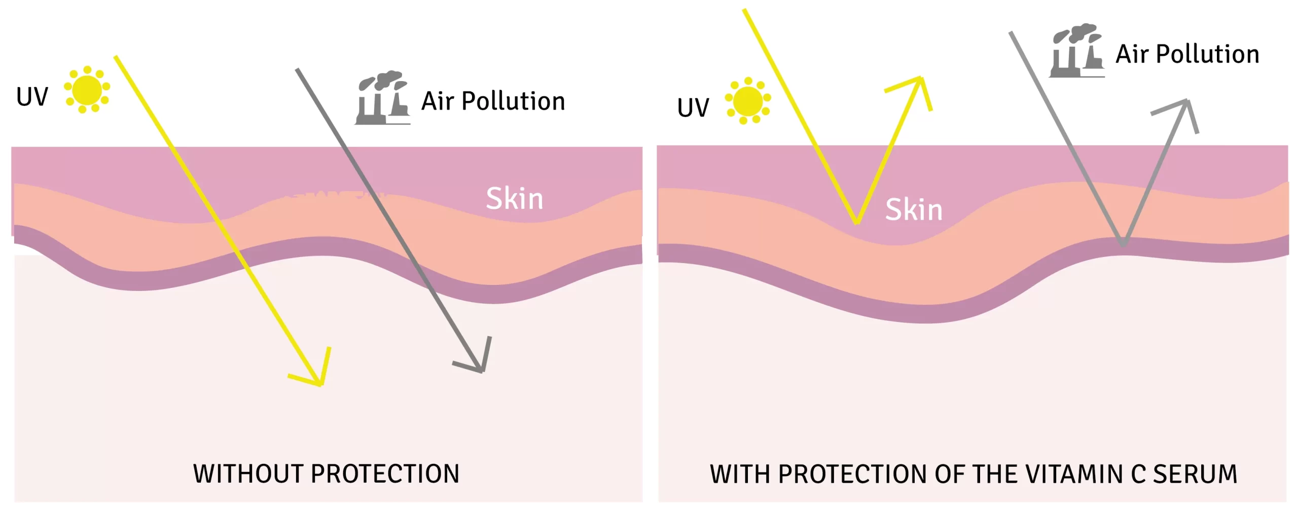 تاثیر ویتامین سی در محافظت از پوست در برابر آسیب‌های محیطی