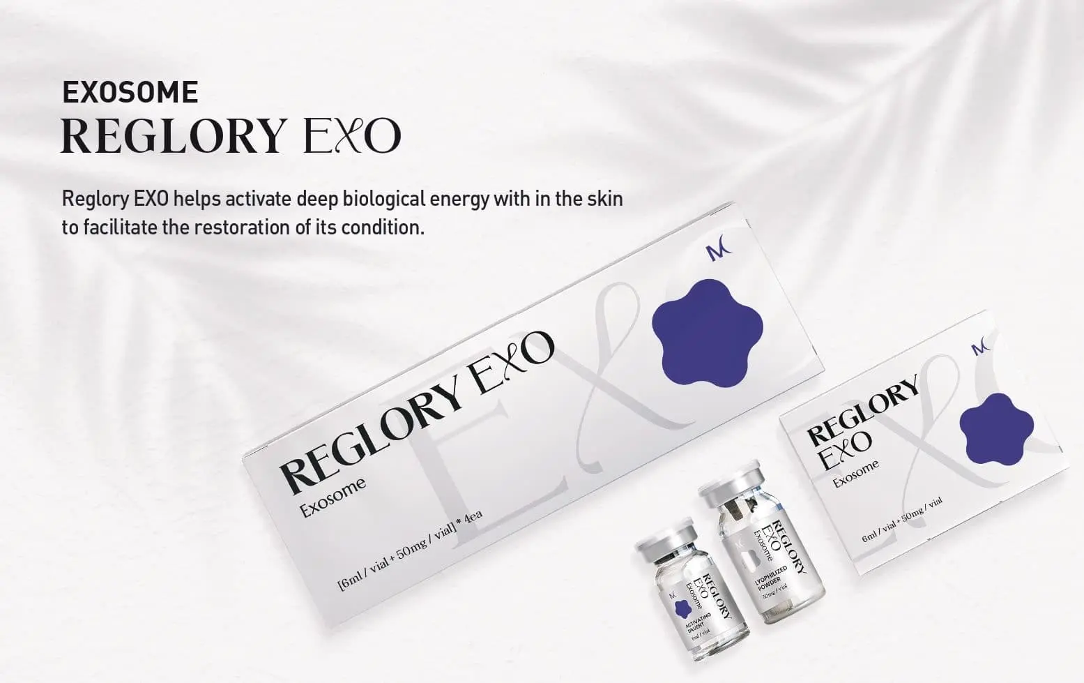 اگزوزوم ری گلوری (Reglory Exo)