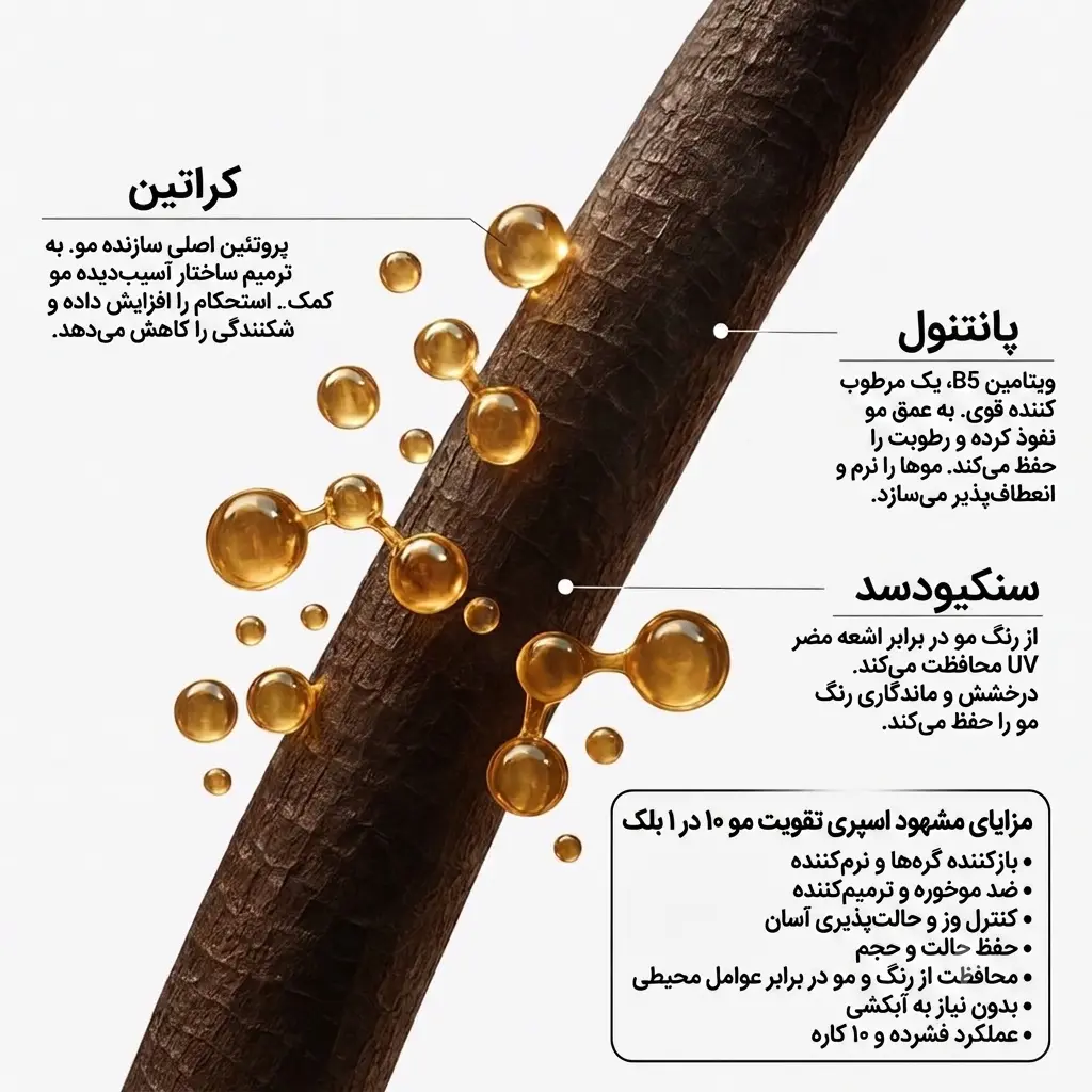 اینفوگرافیک معرفی اسپری موی ۱۰ در ۱ بلک، که مزایای کراتین، پانتنول و محافظت در برابر UV را بر روی یک تاره مو با قطرات طلایی روغن نشان می‌دهد. کراتین به ترمیم‌کنندگی و افزایش استحکام مو، پانتنول به عنوان مرطوب‌کننده قوی و نرم‌کننده مو و محافظت UV به حفظ رنگ و درخشش مو کمک می‌کنند. ۱۰ مزیت در یک محصول شامل بازکنندگی گره، ضد موخوره، کنترل وز، حفظ حالت و حجم، محافظت در برابر عوامل محیطی، بدون نیاز به آبکشی و غیره است.